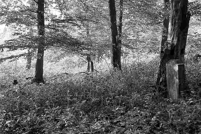 Jüdischer Friedhof im Eltzer Wald